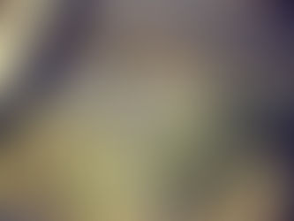 【MILITARY STANDARD・ROOT CO. SHOCK RESIST iPHONE CASE】