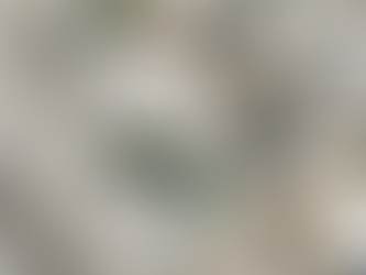 【MODERN TIMES CHRISTMAS GIFT GUIDE 2019】