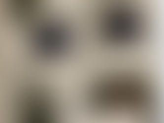 【F/CE. 2020 SS SATIN SACOCHE・新作上架】