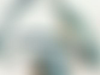 【ROBERU CAMERA STRAP】