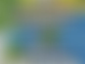 【MT TYPHOON GUERRILLA SALE 20% OFF】