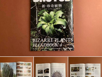 【MODERN TIMES MAGAZINE DEPT. NEW ARRIVAL】