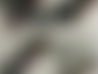 【MODERN TIMES CHRISTMAS GIFT GUIDE 2019】