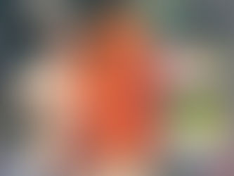 【特急上架情報・ROBERU iPHONE 11 / 11 PRO / 11 PRO MAX CASE】