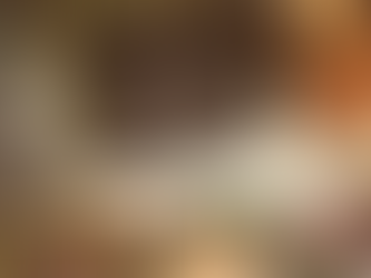 【已售出了,謝謝支持!SOLD! THANK YOU!】