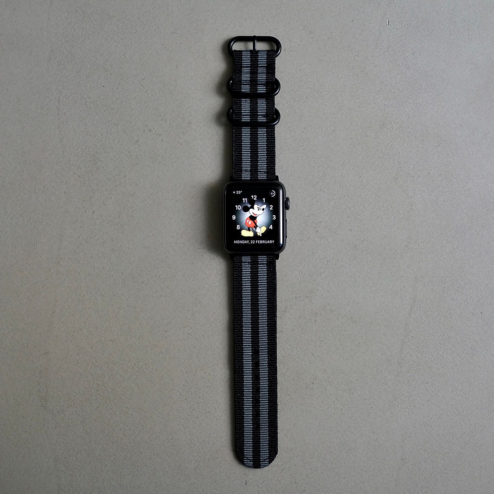 Thumbnail: Apple Watch Adaptor L + Nylon Strap 22mm