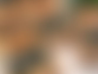 【WE ARE OPEN・1-4 PM TODAY 🌿 16 JAN 2020 THU】