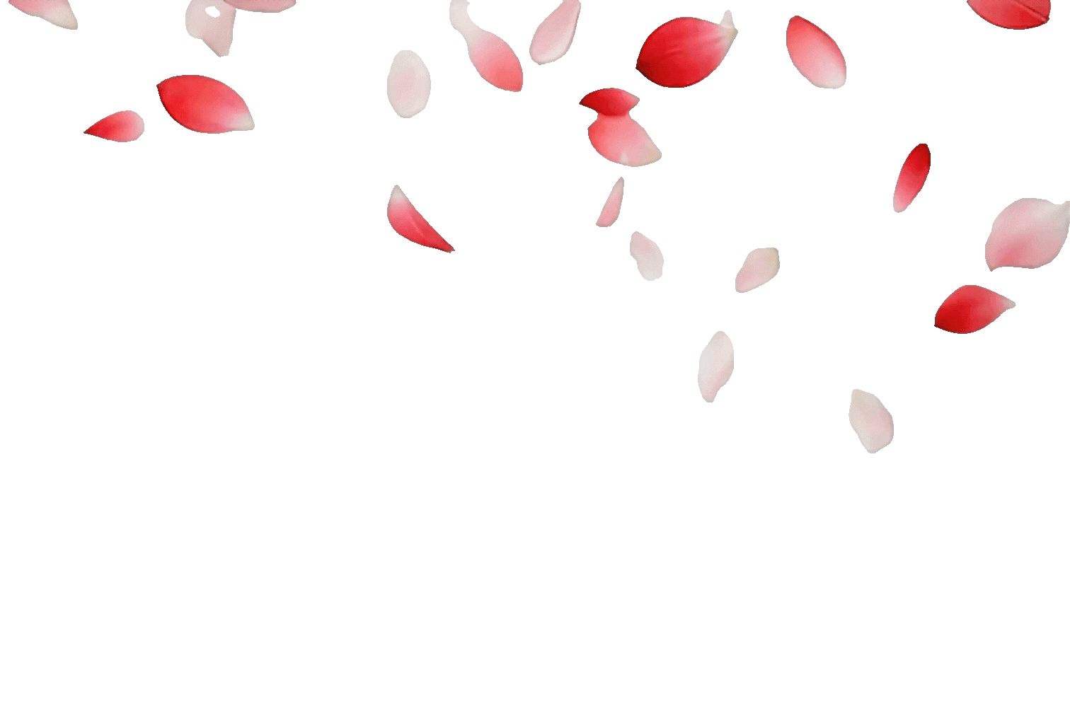 Flower Petals (1).gif