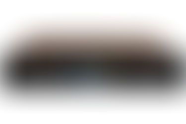 What Is the Burk ARC Plus Touch?