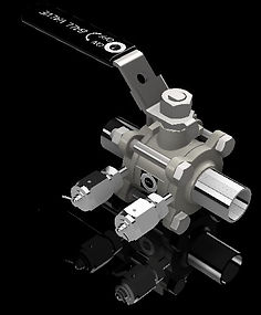 SS 316 Ball valve with dual VCR purge ports