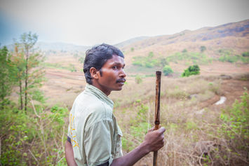 Mann med kjepp i indisk landskap ser mot kamera