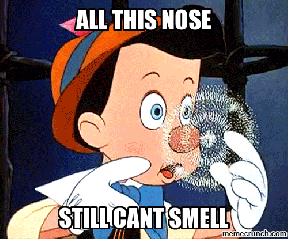 Image result for anosmia meme