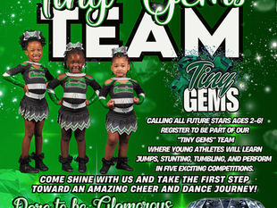 TINY GEMS TEAM