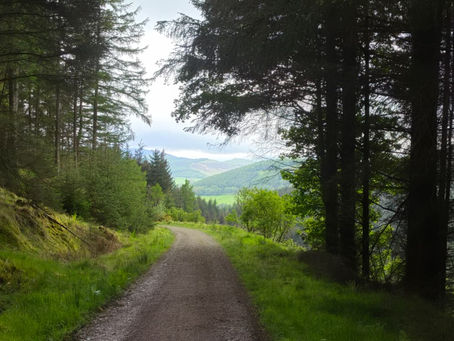 View from Glentress forest towards the hills near Peebles.