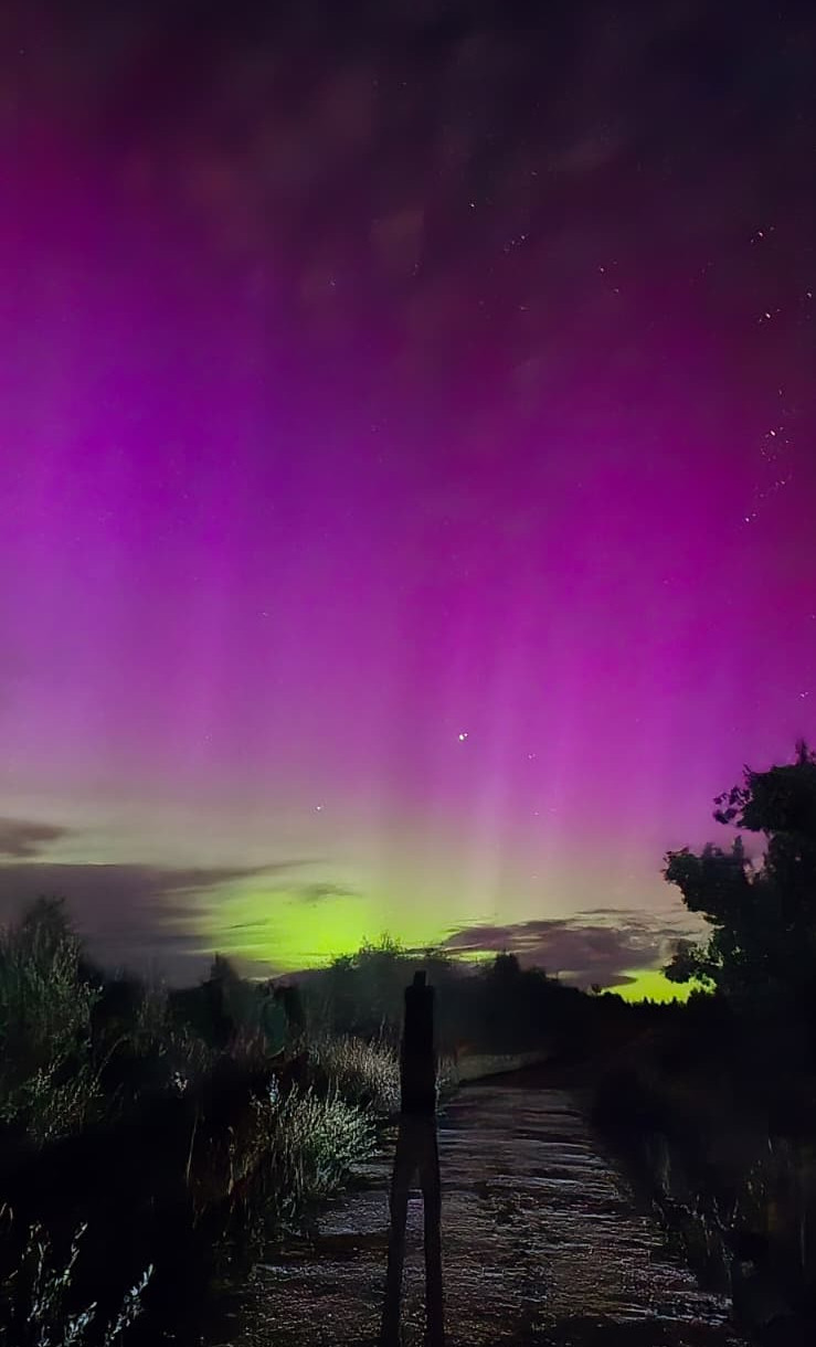 Aurora Borealis seen at Cropton forest on August 12th/13th 2024. Bright pink and green sky with stars