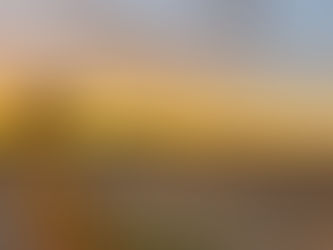 What comes into view...