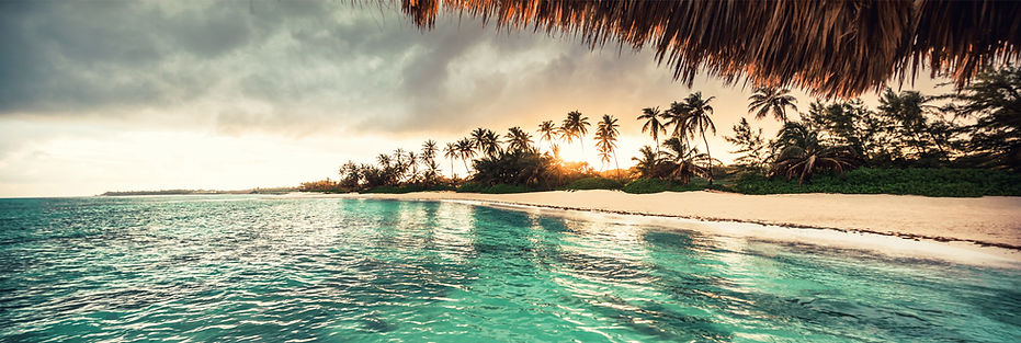 AdobeStock_159234553_Edited.jpg
