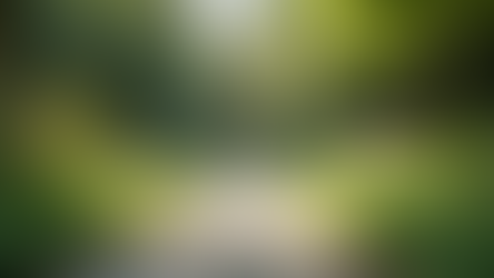 The Power of Mindfulness in Everyday Life