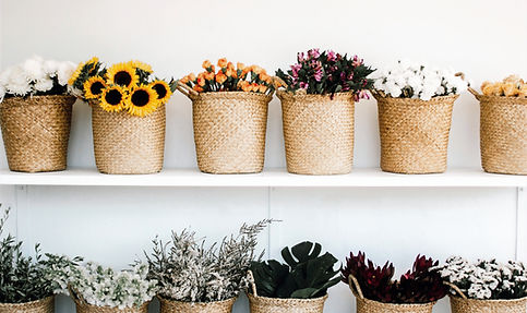 11062b_423e97a89c2149eb8b9e68daf59a698b~