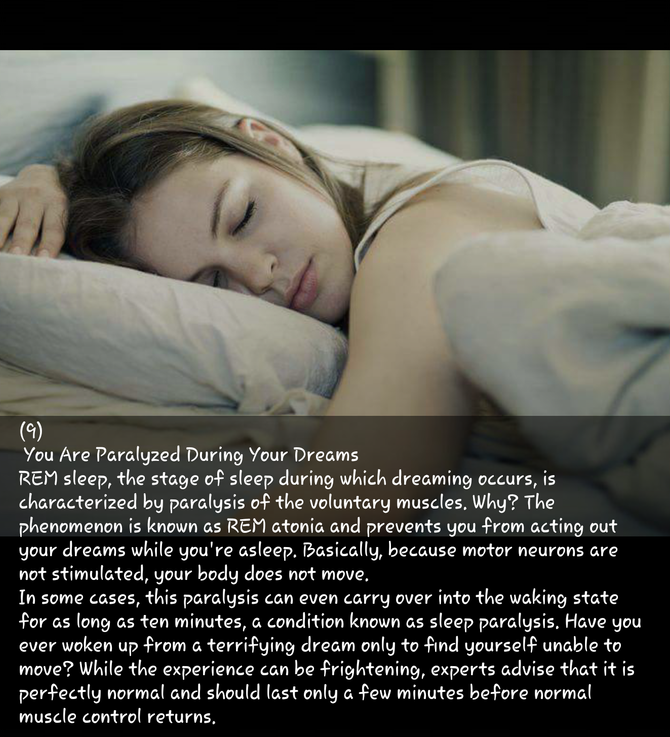 10 FACT ABOUT YOUR DREAMS