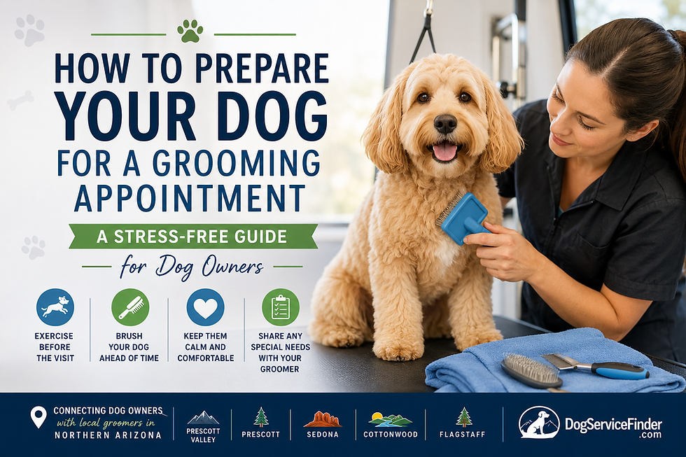 How to Prepare Your Dog
for a Grooming Appointment
A Stress-Free Guide for Dog Owners
