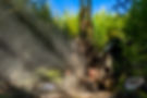 AdobeStock_517332933.jpeg