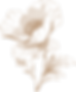 FLOWER.png