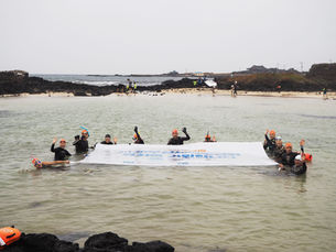 보도자료: 언론기사 및 방송자료