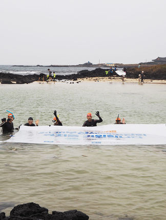 보도자료: 언론기사 및 방송자료
