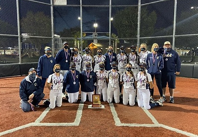 Foothill Gold-D2 Silver 2.jpg