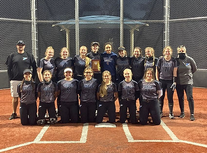 Force -D1 Silver 3.jpg