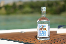BenacusGin.jpg