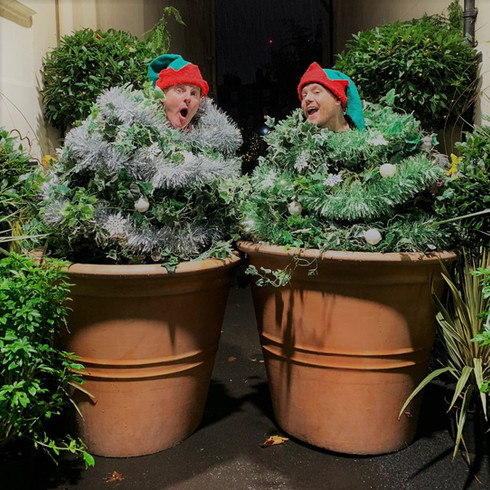 Holly and Ivy