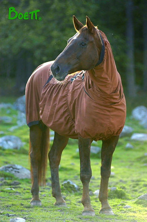 Blanket with horse picture hot sale