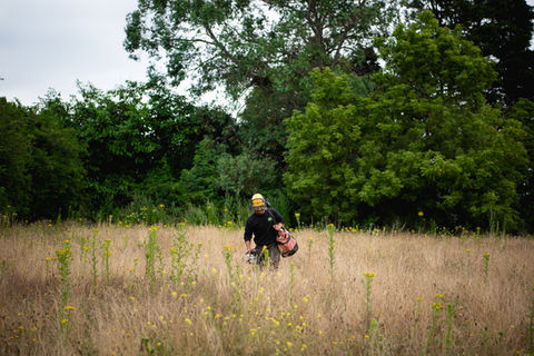 Original Tree Surgeons in Essex - Tree Assessments