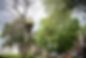 EBP - OTS 2021 -301.jpg