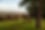 AdobeStock_561060996.jpeg