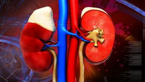 Acute kidney injury after hip or knee replacement: Can we lower the risk?