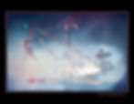 _DSC5525+DONE.jpg