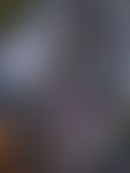 도시의 속도를 잠시 늦추는 시간 … ‘라스베가스 파머스 마켓 가이드’