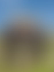 라스베가스에서 만나는 독특한 캠핑 여행