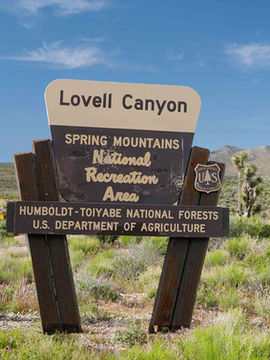 라스베가스에서 만나는 독특한 캠핑 여행