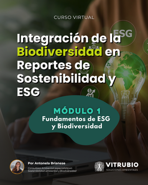 CURSO DE ESG: Módulo 1