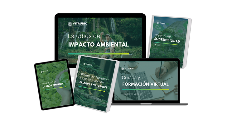 SERVICIOS DESTACADOS (5).png