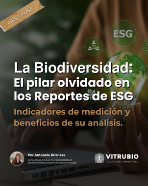 𝗟𝗮 𝗕𝗶𝗼𝗱𝗶𝘃𝗲𝗿𝘀𝗶𝗱𝗮𝗱: 𝗘𝗹 𝗣𝗶𝗹𝗮𝗿 𝗢𝗹𝘃𝗶𝗱𝗮𝗱𝗼 𝗲𝗻 𝗹𝗼𝘀 𝗥𝗲𝗽𝗼𝗿𝘁𝗲𝘀 𝗘𝗦𝗚