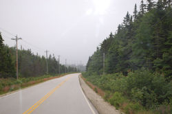 Peggis Grove - Lunenburg (11)