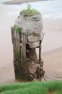 Von Bay of Fundy nach Cape Berton (192)