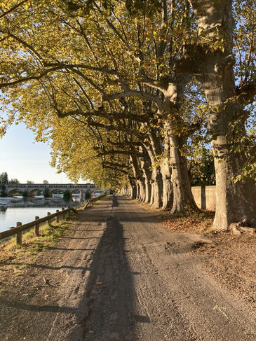 Beziers und Canal du Midi (9).JPG
