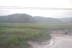 Von Bay of Fundy nach Cape Berton (118)