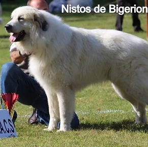 Photo Etalon